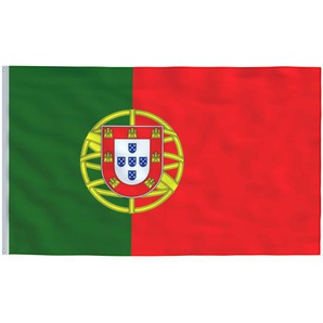 vidaXL Flagge Portugals 90×150 cm