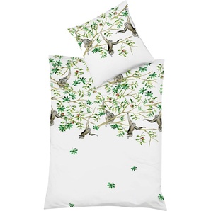 Fleuresse Mako-Satin Bettwäsche 240x220 Affen Äste Blätter Lianen weiß grün 114053-5 G-114053-0005-0808
