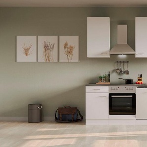 Flex-Well Küche Lucca, wahlweise mit E-Geräten, Gesamtbreite 220 cm
