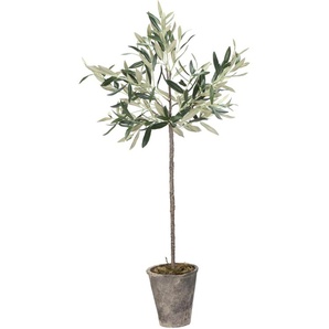 Flora Kunstpflanze Olivenbaum 13x13x73 cm