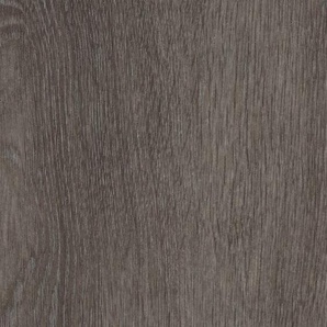 Forbo Allura Dryback Wood 0,7 - 60375DR7 grey collage oak ( 120 x 20 cm )