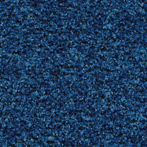 Forbo Coral Brush 5722 cornflower blue - Sauberlaufzone
