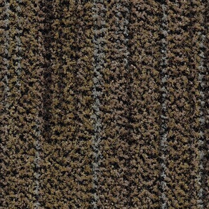 Forbo Coral Brush 5764 petrified grey - Sauberlaufzone