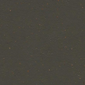 Forbo Marmoleum Cocoa - 3591 black tea Linoleum UNI Bahnenware 2,5 mm
