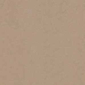 Forbo Marmoleum Concrete - 3727 drift Linoleum UNI Bahnenware 2,5 mm