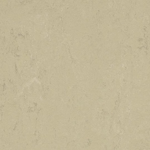 Forbo Marmoleum Concrete - 3761 Titan Linoleum UNI Bahnenware 2,5 mm