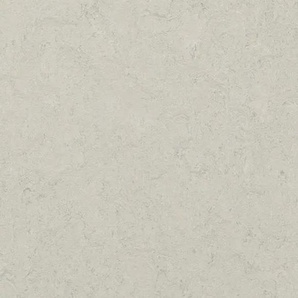 Forbo Marmoleum DECIBEL - 386035 silver shadow Linoleum Bahnenware