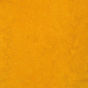 Forbo Marmoleum FRESCO - 3125 golden sunset Linoleum Bahnenware 2,5 mm
