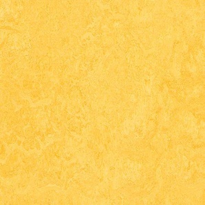 Forbo Marmoleum fresco - 3251 lemon zest Linoleum Bahnware 2,0 mm