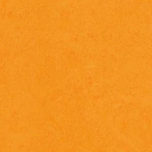 Forbo Marmoleum FRESCO - 3262 marigold Linoleum Bahnenware 2,5 mm