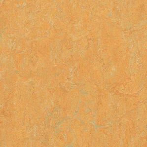 Forbo Marmoleum REAL - 3847 golden saffron Linoleum Bahnenware 2,5 mm