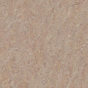 Forbo Marmoleum TERRA - 5803 weathered sand Linoleum Bahnenware 2,5 mm