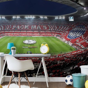 Fototapete Bayern Stadion 366 x 254cm