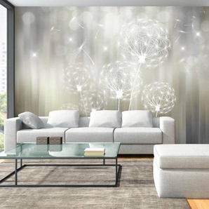 Fototapete Gift of the Sun 400 x 280cm 400 x 280 cm