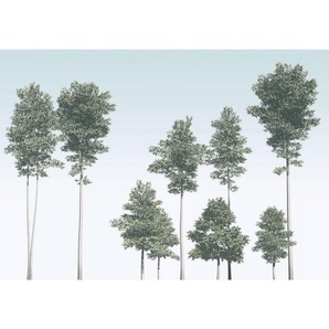 Fototapete, Grün, Weiß, Bäume, 400x280 cm, Tapeten Shop, Fototapeten