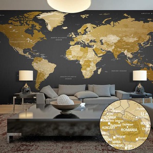 Fototapete World Map Modern Geography 2,8 m x 500 cm