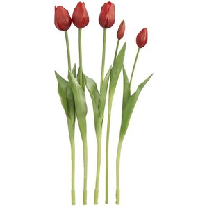 Französischer Tulpenbund - rot - Polypropylen,Kunststoff - 47 cm | Möbel Kraft