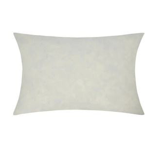 Füllkissen | weiß | 40 cm |