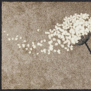 Fußmatte SALONLOEWE Teppiche Gr. B/L: 75 cm x 120 cm, 7 mm, 1 St., grau (taupe) Fußmatten gemustert