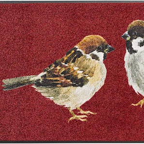 Fußmatten aus Textil Preisvergleich | Moebel 24
