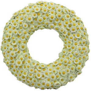 GänseblümchenKranz Sannie