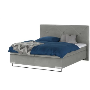 Musterring Boxspringbett Standardversion Dubai  ¦ grau ¦ Maße (cm): B: 177 H: 124