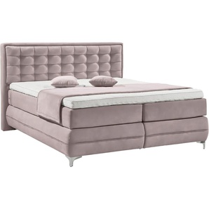 Boxspringbett GALLERY M BRANDED BY MUSTERRING Dubai Komplettbetten Gr. Microfaser TYPA Bonnellfederkern-Unterpolsterung, Liegefläche B/L: 160 cm x 200 cm Betthöhe: 61 cm, H4 + H2, Bonnell-Federkernmatratze, lila (d 531 flieder) Boxspringbetten ohne