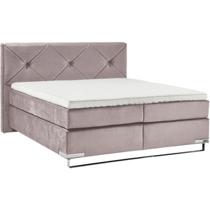 Boxspringbett GALLERY M BRANDED BY MUSTERRING Dubai Komplettbetten Gr. Microfaser TYPA Bonnellfederkern-Unterpolsterung, Liegefläche B/L: 180 cm x 200 cm Betthöhe: 61 cm, H4 + H2, Bonnell-Federkernmatratze, lila (d 531 flieder) Boxspringbetten ohne