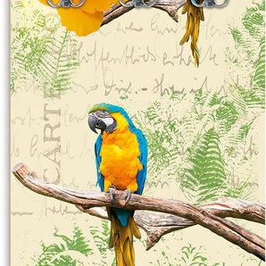 Garderobenleiste ARTLAND Papagei Garderobenhalter Gr. B/H/T: 45 cm x 140 cm x 2,8 cm, bunt Haken teilmontiert