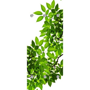Garderobenleiste QUEENCE Blätter Garderobenhalter Gr. B/H/T: 50 cm x 120 cm x 10 cm, grün Haken mit 6 Haken, 50 x 120 cm