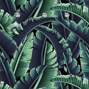 Garderobenleiste QUEENCE Dschungel Garderobenhalter Gr. B/H/T: 80 cm x 120 cm x 5 cm, grün Haken