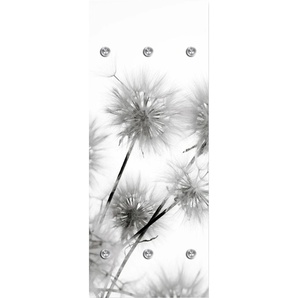 Garderobenleiste QUEENCE Pusteblumen Garderobenhalter Gr. B/H/T: 50 cm x 120 cm x 10 cm, grau (hellgrau) Haken