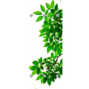 Garderobenleiste QUEENCE Zweige mit Blättern Garderobenhalter Gr. B/H/T: 50 cm x 120 cm x 10 cm, grün (grün, weiß) Haken mit 6 Haken, 50 x 120 cm