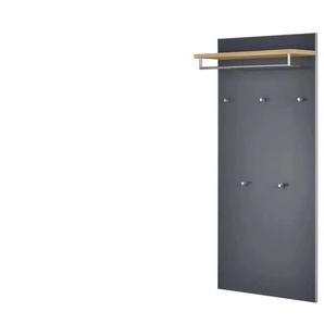 Garderobenpaneel  Duna ¦ grau ¦ Glas,Holzwerkstoff ¦ Maße (cm): B: 80 H: 170 T: 27.0