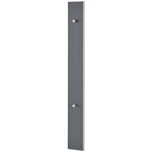Garderobenpaneel  Duna ¦ grau ¦ Glas,Holzwerkstoff ¦ Maße (cm): B: 16 H: 140 T: 7.0