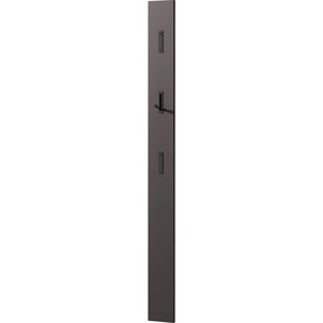 Garderobenpaneel GERMANIA Garderobenpaneele Gr. B/H/T: 15 cm x 170 cm x 3 cm, grau (graphit) Garderobenpaneele mit ausklappbaren Kleiderhaken aus Metall, geringe Tiefe