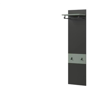 Garderobenpaneel   ¦ grau ¦ Holzwerkstoff ¦ Maße (cm): B: 45 H: 165