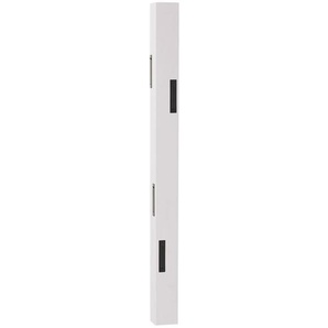 Garderobenpaneel  Kara ¦ grau ¦ MDF-Platte,Kunststoff ¦ Maße (cm): B: 12 H: 120 T: 8.0