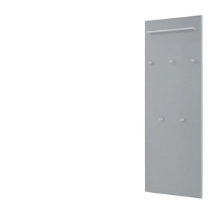 Garderobenpaneel  Xena ¦ grau ¦ Holzwerkstoff,Glas ¦ Maße (cm): B: 60 H: 170 T: 10.0