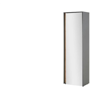 Garderobenschrank   ¦ grau ¦ Maße (cm): B: 50 H: 200