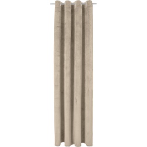 Gardine LEONIQUE Velvet-Leonique Gardinen Gr. 145 cm, Ösen, 140 cm, beige Ösen Gardine Samt, blickdicht, monochrom, inkl. Raffhalter, verschiedene Größen