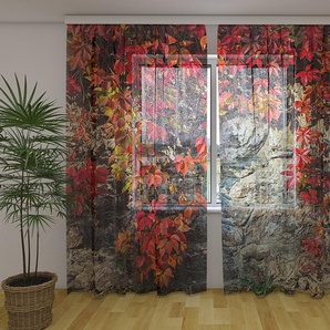 Gardinen & Vorhänge aus Chiffon transparent. Fotogardinen 3D Autumn Ivy