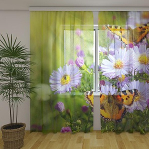 Gardinen & Vorhänge aus Chiffon transparent. Fotogardinen 3D Butterflies