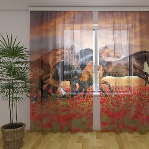Gardinen & Vorhänge aus Chiffon transparent. Fotogardinen 3D Horses in the Poppies Field