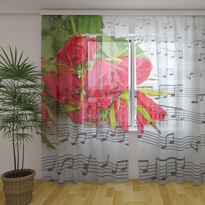Gardinen & Vorhänge aus Chiffon transparent. Fotogardinen 3D Roses and Notes
