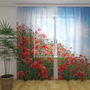 Gardinen & Vorhänge aus Chiffon transparent. Fotogardinen 3D Sunny Poppies