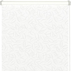 Gardinia EasyFix Rollo mit Blättern weiß 75 x 150 cm GLO727302476