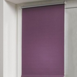 Gardinia EASYFIX Rollo Thermo ENERGIESPAREND 245 lila 75 x 150 cm