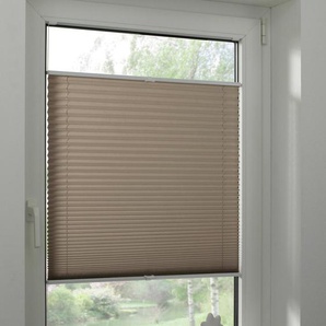Gardinia Plissee taupe Concept GLO727250200