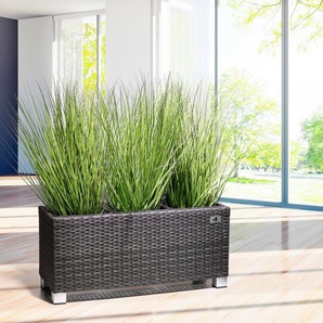 Gartenfreude Pflanzkübel, 78 x 27 x 34 cm, für Innen und Außen, Kunststoffeinsatz
